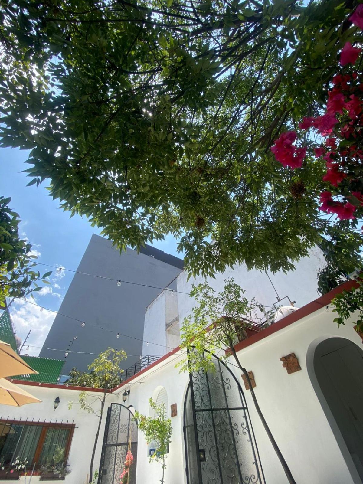 Nokal Exclusive Stay Mexiko-Stadt Exterior foto