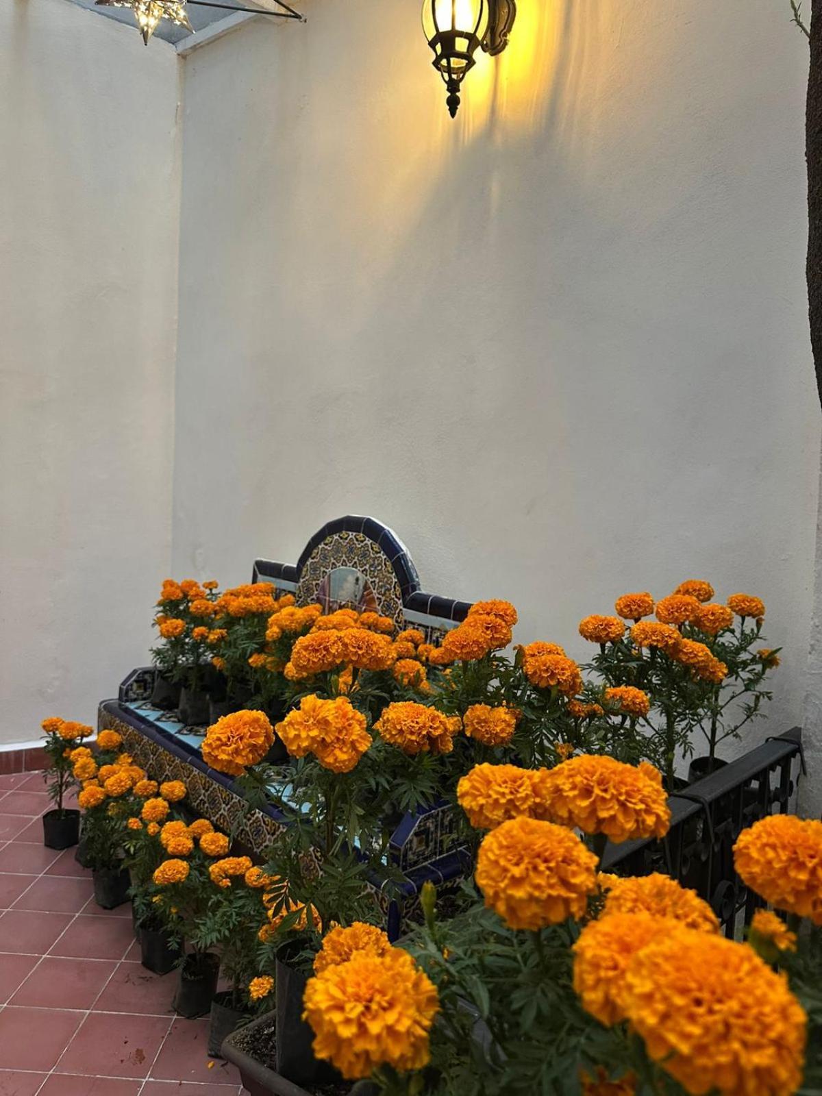 Nokal Exclusive Stay Mexiko-Stadt Exterior foto